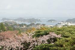 新富山の画像