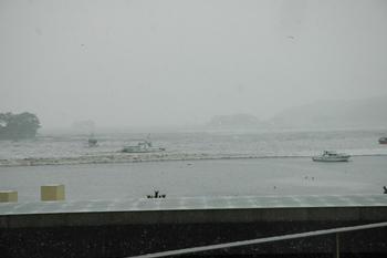 松島町の被害状況の画像1