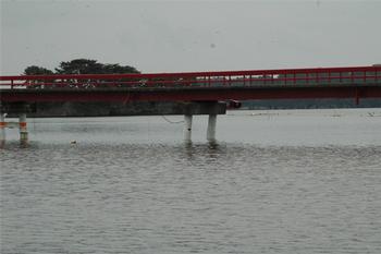 松島町の被害状況の画像23