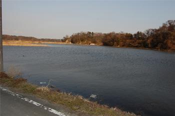 松島町の被害状況の画像26