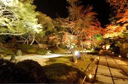 紅葉の名所の画像